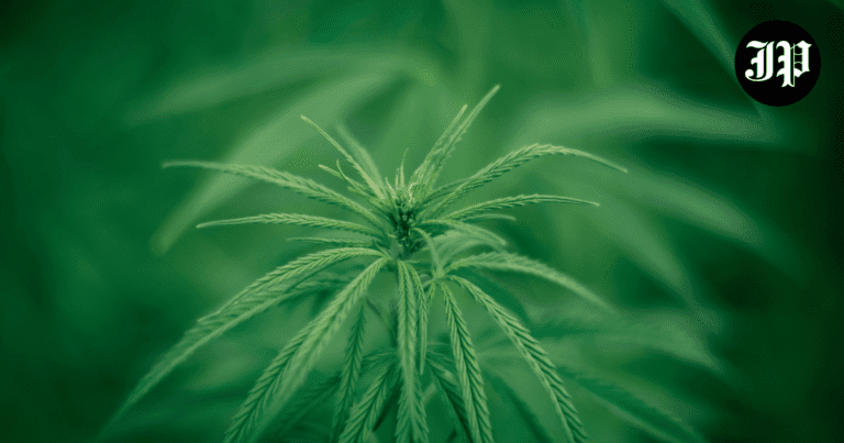 Maryland Greenlights Recreational Marijuana